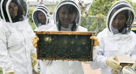 group of bee keepers holding honeycomb