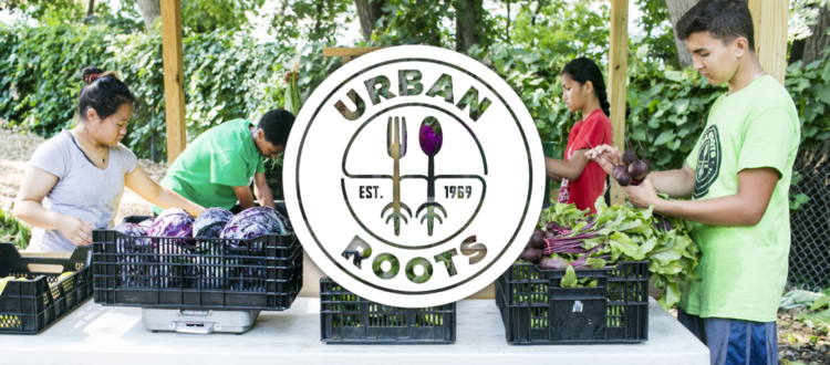 urban roots volunteers cleaning veggies with white logo