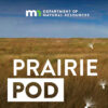 prairie pond words on top of image of paririe