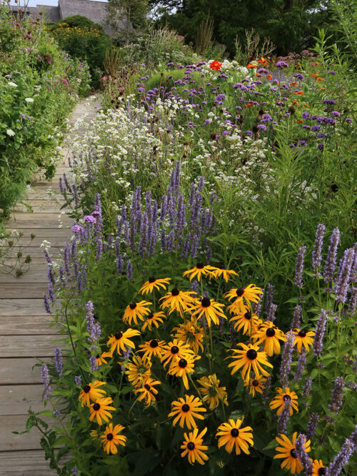 Pollinator Starter Kit