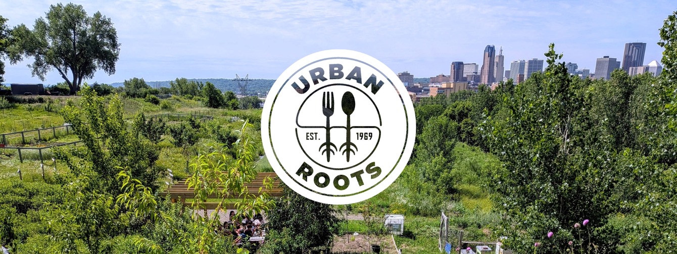 The Unspoken Stories