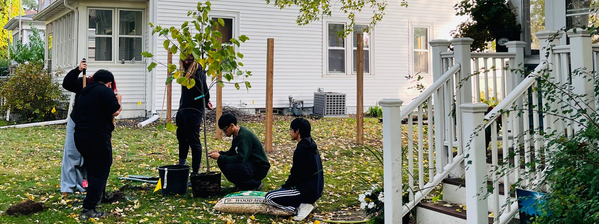 Did you know that now is a perfect time to plant a tree? If you are interested in planting a tree read below for tips on picking the right tree and setting it up for success.
